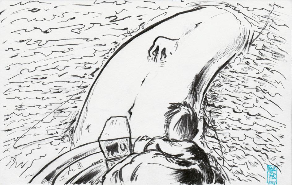 I saw a whale